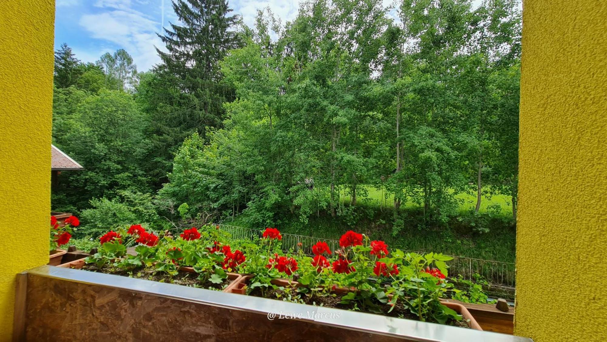 Appart-pension Seehang Velden am Woerthersee
